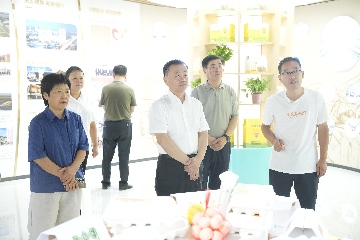 【長(zhǎng)田動(dòng)態(tài)】區(qū)政協(xié)黨組書(shū)記、主席呼廷貴一行蒞臨易豐農(nóng)業(yè)開(kāi)展專(zhuān)題調(diào)研?